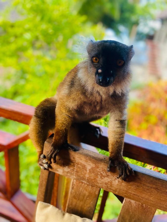 Tamarin Lodge Ampangorinana Luaran gambar