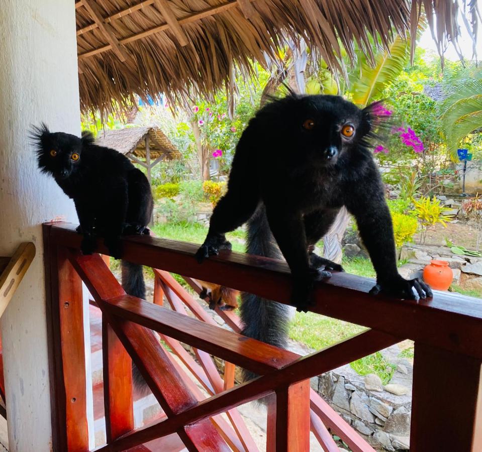Tamarin Lodge Ampangorinana Luaran gambar