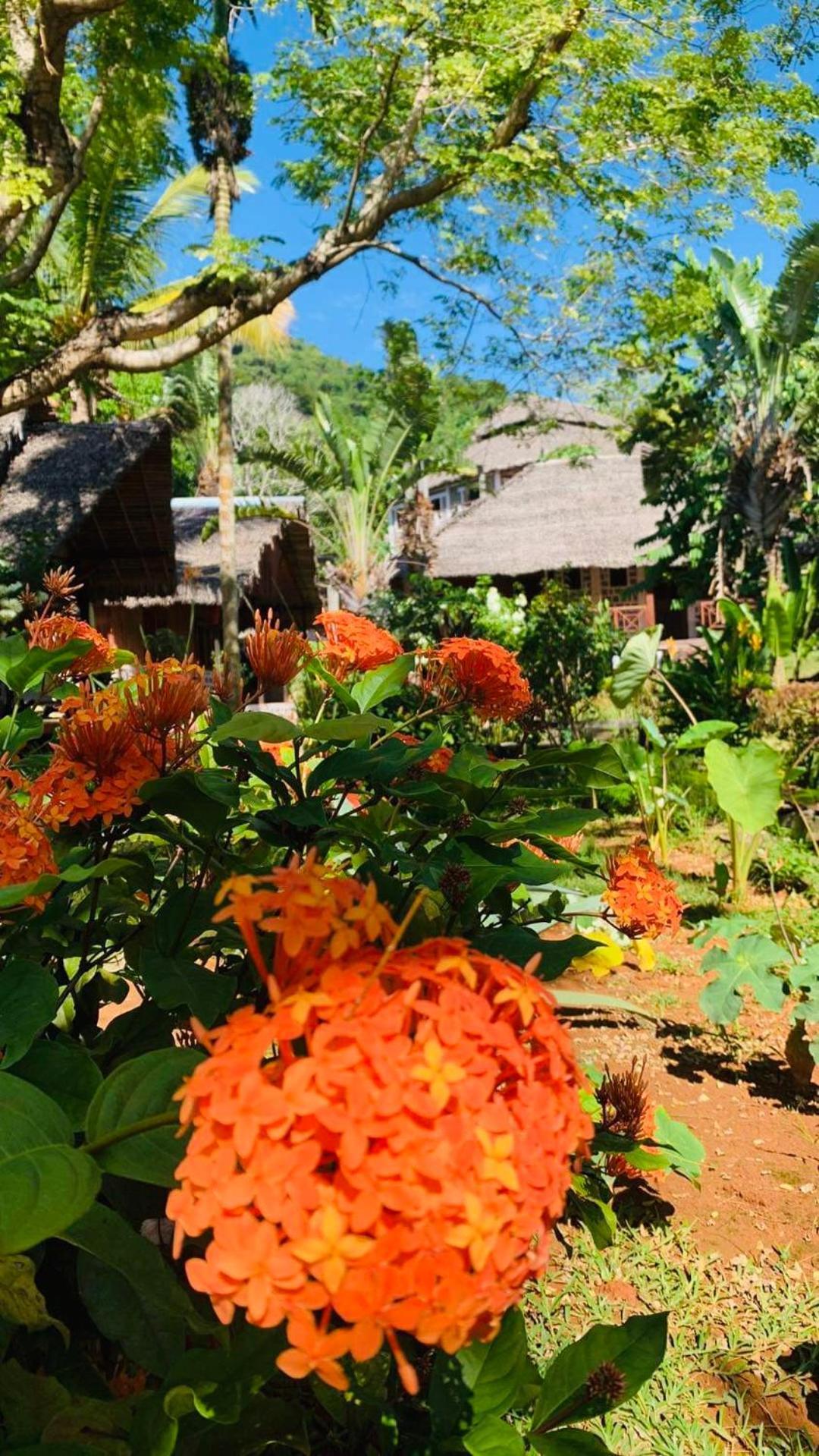 Tamarin Lodge Ampangorinana Luaran gambar