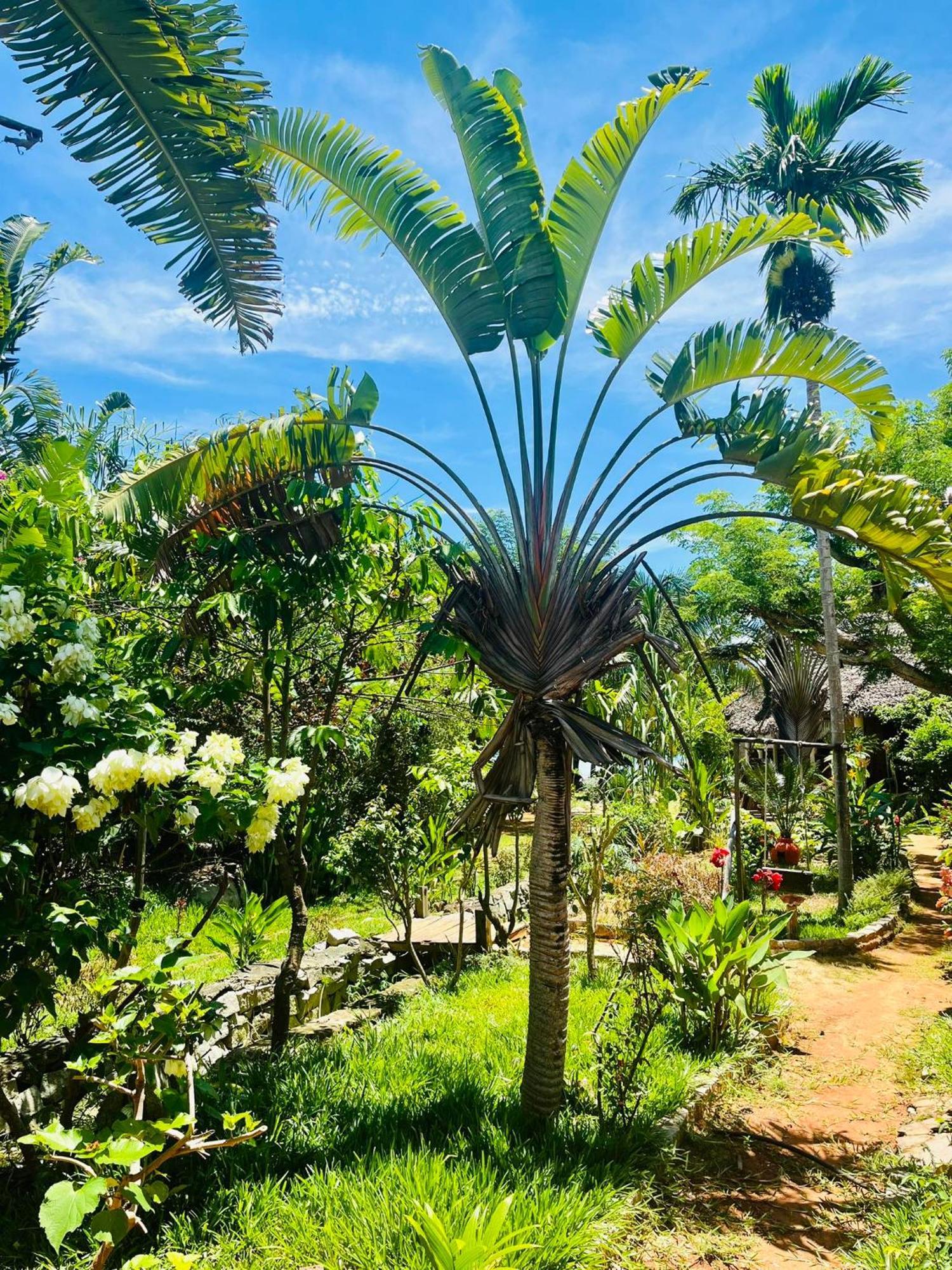 Tamarin Lodge Ampangorinana Luaran gambar