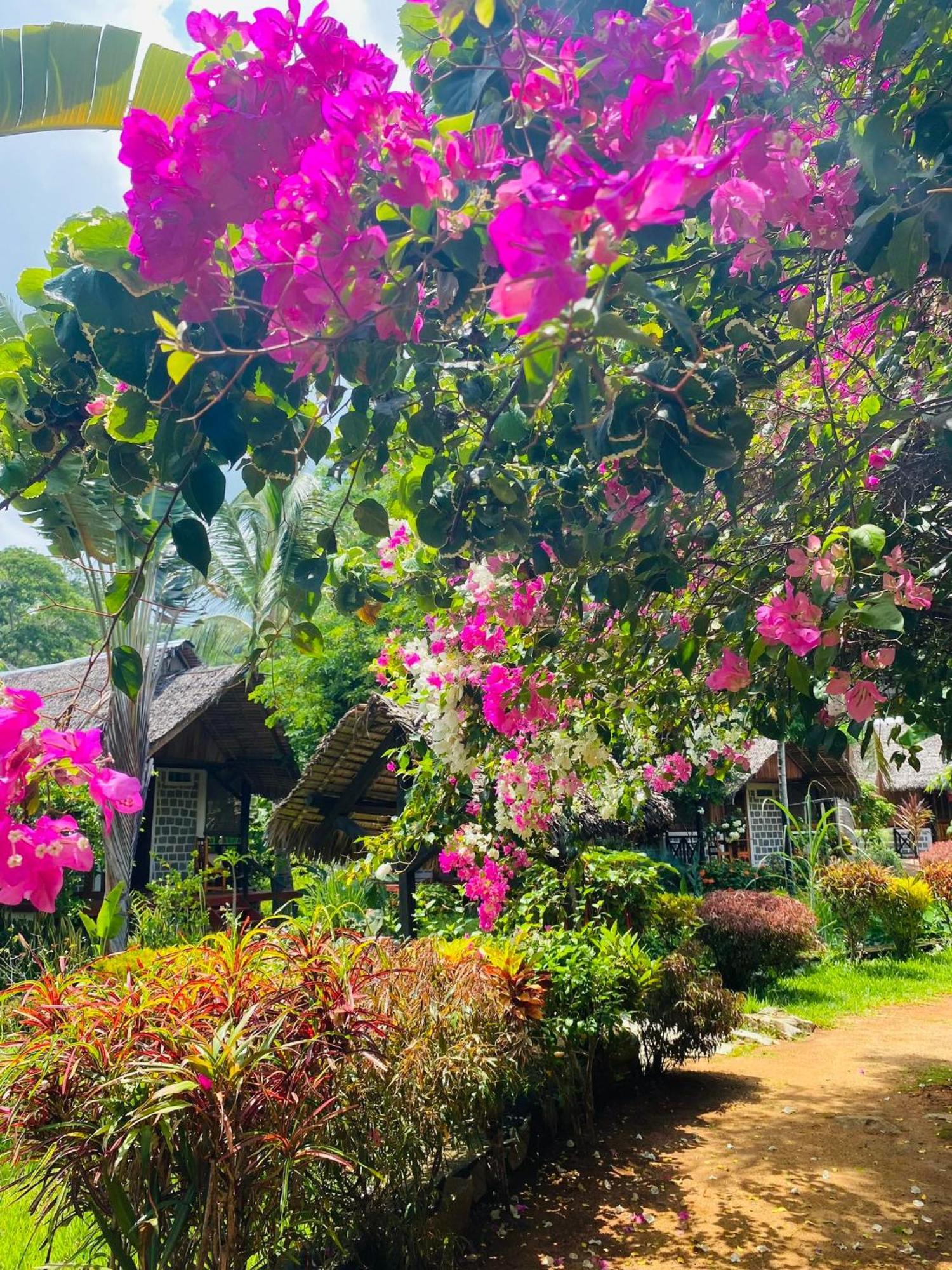 Tamarin Lodge Ampangorinana Luaran gambar